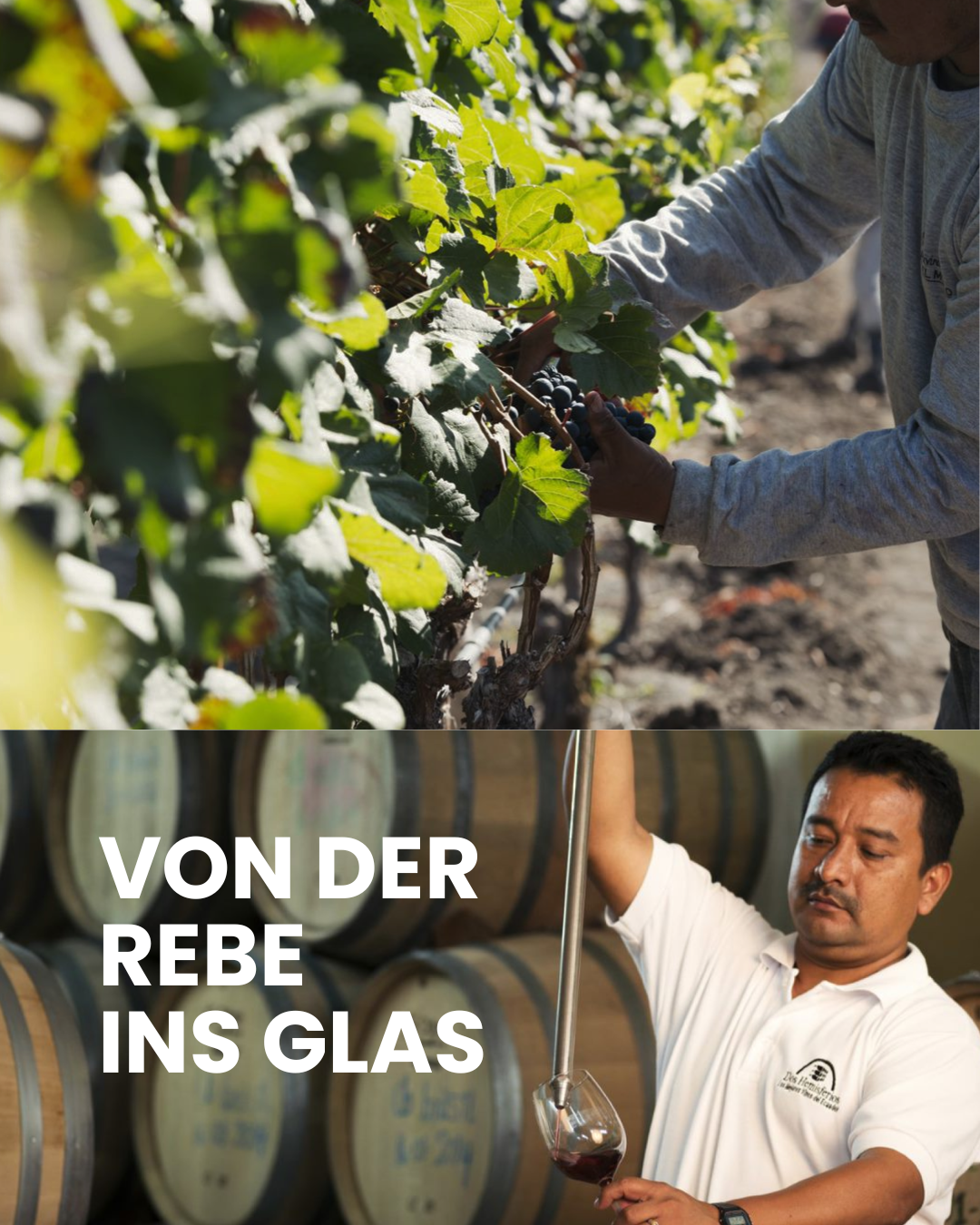 Wein - & Schokoladentasting
